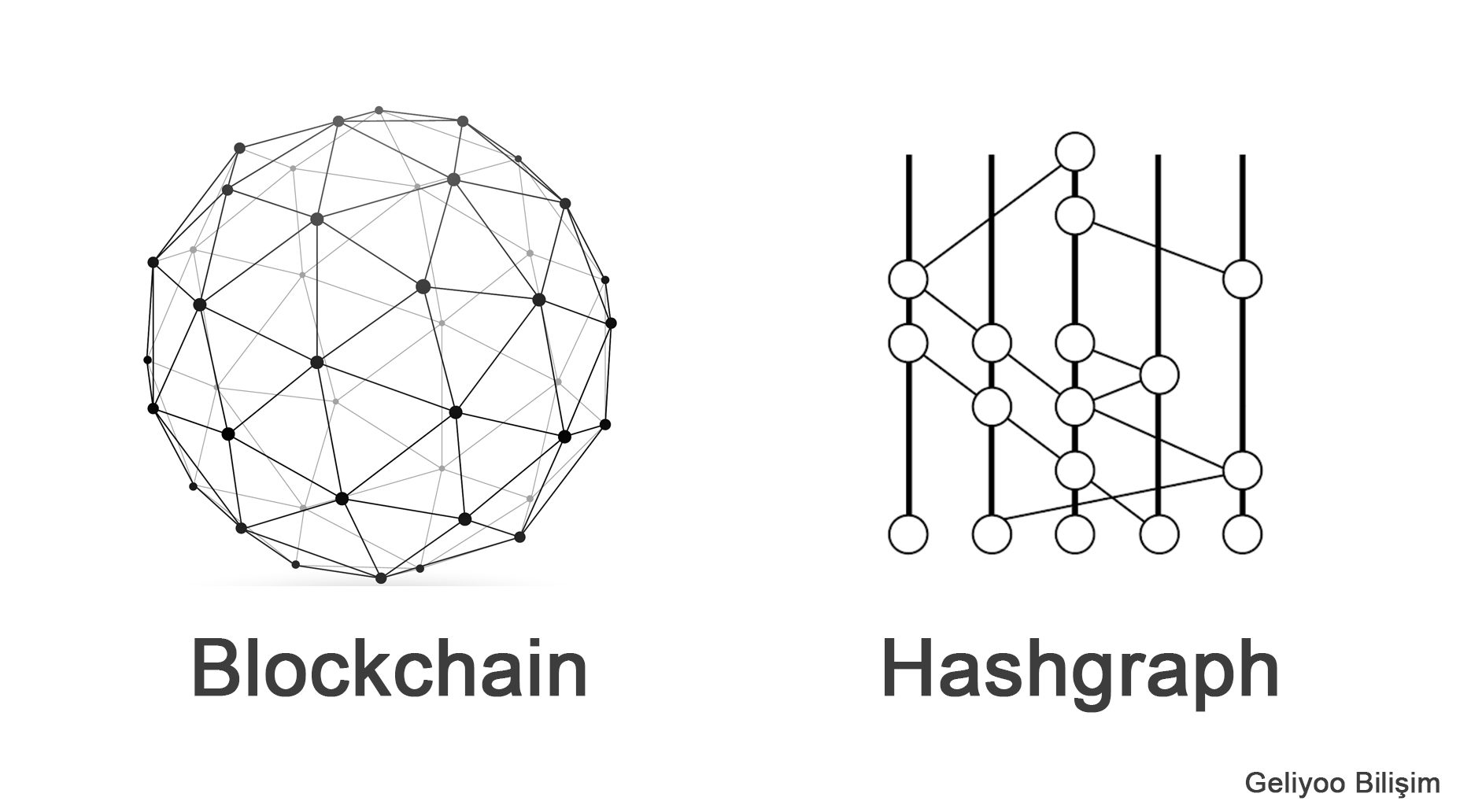 Hashgraph vs Blockchain